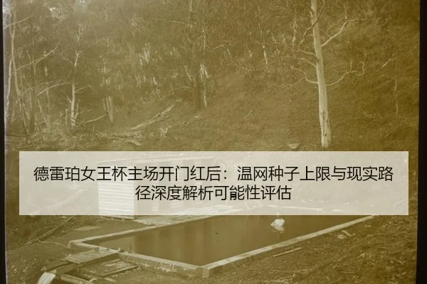 德雷珀女王杯主场开门红后：温网种子上限与现实路径深度解析可能性评估